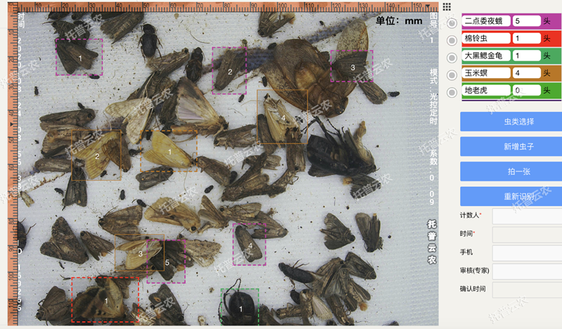圖像識(shí)別提高蟲(chóng)害識(shí)別精準(zhǔn)性 圖像識(shí)別提高蟲(chóng)害識(shí)別精準(zhǔn)性