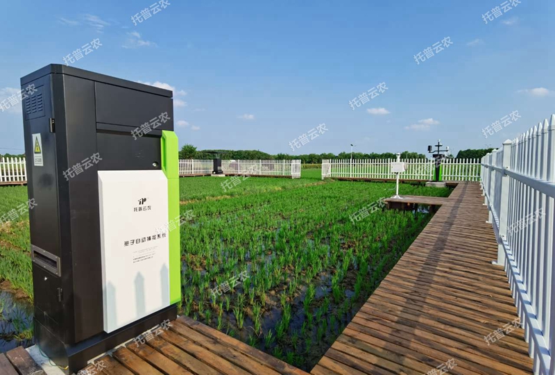 智能孢子捕捉系統(tǒng) 智能孢子捕捉系統(tǒng)