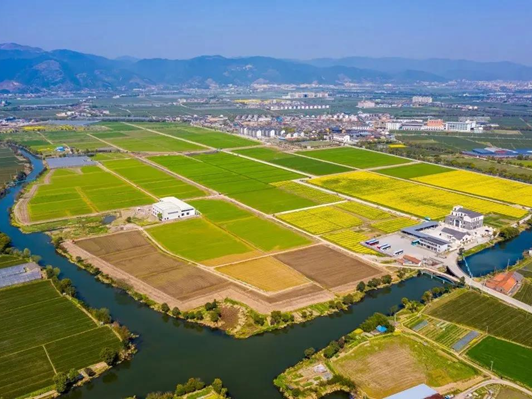 高標(biāo)準(zhǔn)農(nóng)田建設(shè)案例 | 打造高標(biāo)準(zhǔn)農(nóng)田建設(shè)古林樣板 夯實(shí)寧波現(xiàn)代農(nóng)業(yè)發(fā)展基礎(chǔ)