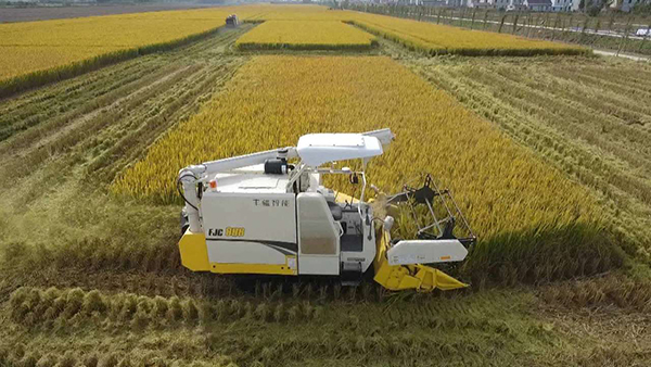 農(nóng)機收割 農(nóng)機收割