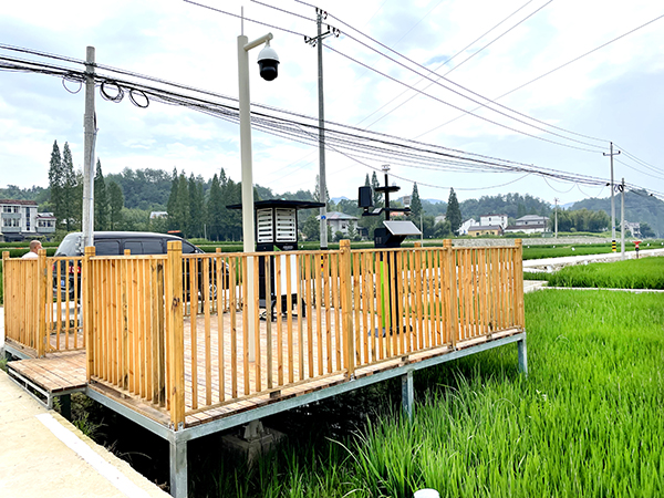 智能設(shè)備 智能設(shè)備