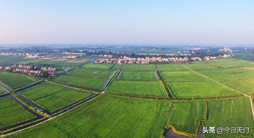 1638508587160097.jpg 1638508587160097.jpg